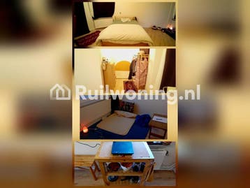 Flat in Arnhem ruilen voor een plek in de regio (Gelderland), Gelderland