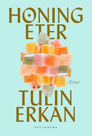 Honingeter - Tülin Erkan 9789463105781, Verzenden, Zo goed als nieuw, Tülin Erkan