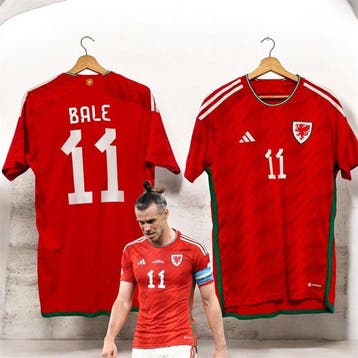 Wales national football team - Wereldkampioenschap Voetbal -, Nieuw