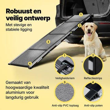 2dekans | Jake en Jacky Hondenloopplank voor Auto -, Ophalen of Verzenden, Zo goed als nieuw
