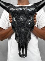 GEEN RESERVEPRIJS - Prachtige koe schedel met glazen