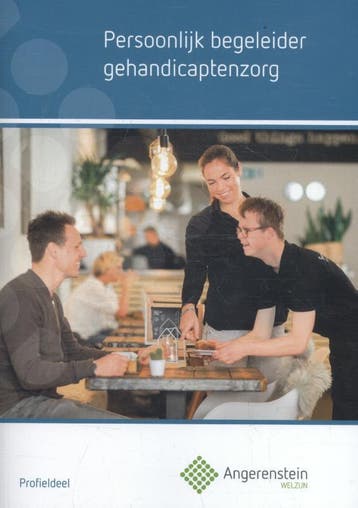 Persoonlijk begeleider gehandicapten zorg 9789037229677, Verzenden, Zo goed als nieuw