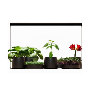 Mother Plantspectrum 32, Ophalen of Verzenden, Nieuw