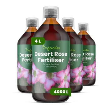 Woestijnroos Vloeibare Meststof - 4x1 liter, Verzenden, Mest