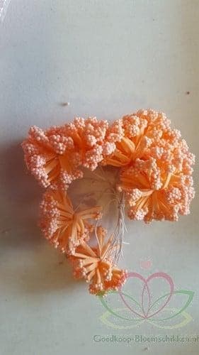 Fieldberries Zalm Oranje New Style bundel 12 stuks, Ophalen of Verzenden, Nieuw
