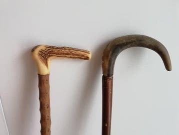 Wandelstok (2) - Hout, bot, hoorn, Antiek en Kunst