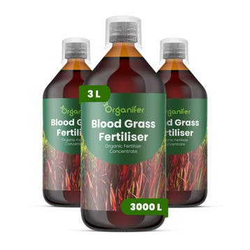 Vloeibare meststof voor bloedgras - 3x1 liter, Verzenden, Mest