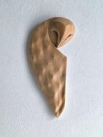 Federico Alibrio - Sap - Leaf barn owl