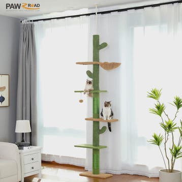 Cactus Kattenboom 5-Tier Vloer tot Plafond Klimpaal met Hang, Verzenden, Nieuw