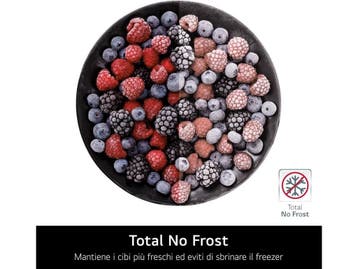 LG GBV3100APY - Koel-vriescombinatie - No Frost 300 liter -, Verzenden, Zo goed als nieuw