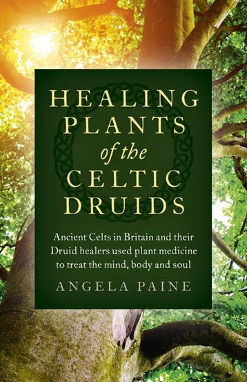 9781785355547 Healing Plants of the Celtic Druids - Ancie..., Verzenden, Nieuw, Angela Paine