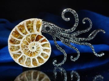 Geen reserveprijs Prachtige ammoniet hanger/broche
