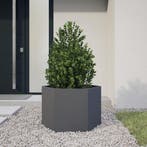vidaXL Plantenbak zeshoek 69x60x45 cm staal antracietkleurig, Tuin en Terras, Bloembakken en Plantenbakken, Verzenden, Nieuw, Metaal