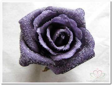 Foamroos Emilia Snow Purple 6 cm doos 42 stuks, Ophalen of Verzenden, Nieuw