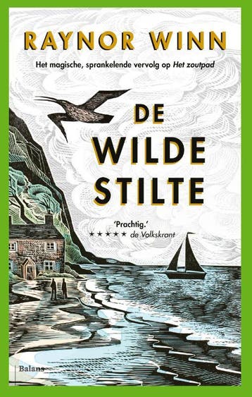 De wilde stilte 9789463821872 Raynor Winn, Verzenden, Gelezen, Raynor Winn