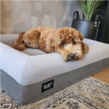 Buddy Beds Orthopedische Hondenmand 100cm – Luxe Hondenbed, Ophalen of Verzenden, Zo goed als nieuw