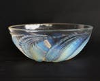 Lalique - René Lalique - Schaal - Versieringen - Glas, Antiek en Kunst