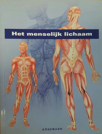 Het menselijk lichaam 9783829021128, Verzenden, Gelezen, Francisco Asensio Cerver (samensteller)