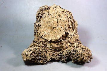 Hout - Wabi-Sabi ) - Boeddha-beeld in zittende houding