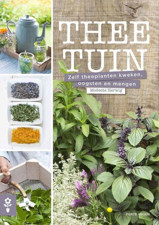 9789462501126 Theetuin Modeste Herwig, Boeken, Kookboeken, Nieuw, Verzenden
