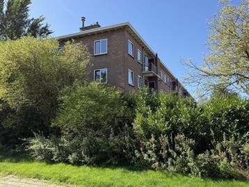 Te huur: Appartement Honingboomstraat in Leeuwarden, Leeuwarden, Friesland, Appartement