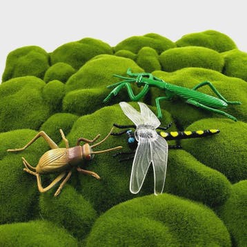 12-delige set realistische insectenfiguren voor tuin en huis