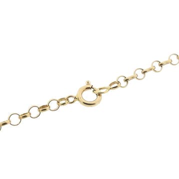 Gouden jasseron schakelcollier met granaat (Ketting), Sieraden, Tassen en Uiterlijk, Kettingen, Gebruikt, Ophalen of Verzenden