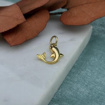 Gouden hanger van een dolfijn (Hanger of bedel), Sieraden, Tassen en Uiterlijk, Bedels, Ophalen of Verzenden, Gebruikt, Goud, Overige merken