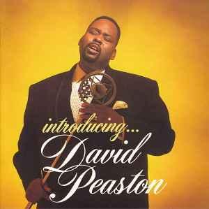cd - David Peaston - Introducing..., Cd's en Dvd's, Cd's | R&B en Soul, Zo goed als nieuw, Verzenden