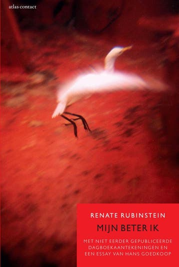 Mijn beter ik 9789045031859 Renate Rubinstein, Boeken, Verzenden, Gelezen, Renate Rubinstein
