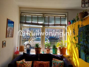 Sociale huurwoning middenin het centrum van Alkmaar, Huizen en Kamers