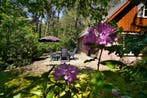 Boshuus Comfort - Genieten in Twente!, 2 slaapkamers, Internet, Chalet, Bungalow of Caravan, Eigenaar