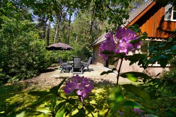 Boshuus Comfort - Genieten in Twente!, 2 slaapkamers, Internet, Chalet, Bungalow of Caravan, Eigenaar