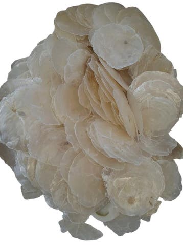Capiz Camar schelpen 1 kilo, Ophalen of Verzenden, Nieuw