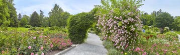 Rozenboog Zwart 200x40cm (Tuinbogen pergola, Tuin en Terras), Verzenden, Nieuw