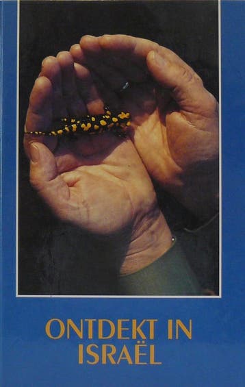 Ontdekt in Israel / RB-serie - A.G. Versteeg 9789060479773, Boeken, Verzenden, Gelezen, A.G. Versteeg