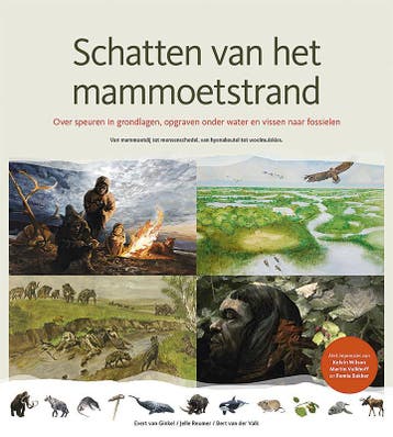 Schatten van het mammoetstrand - Bert van der Valk, Verzenden, Zo goed als nieuw, Bert van der Valk