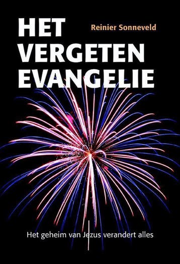 Het vergeten evangelie - Reinier Sonneveld 9789463690034, Boeken, Verzenden, Zo goed als nieuw, Reinier Sonneveld