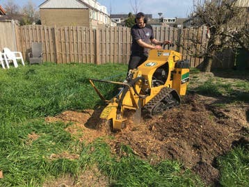 Stobbenfrezen / boomstronk verwijderen / stobbenfrees, Tuinonderhoud of Snoeiwerk