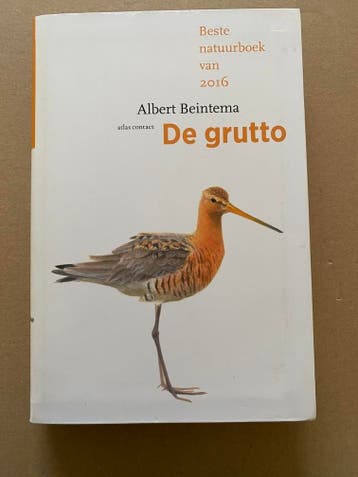Albert Beintema - Vogelmonografie - De Grutto - NIEUW, Boeken, Verzenden, Zo goed als nieuw, Vogels