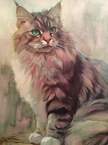 Davor Ivkovi (1965) - Cat