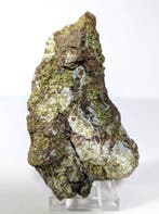 Hilarioniet, een zeer zeldzaam groot exemplaar uit de