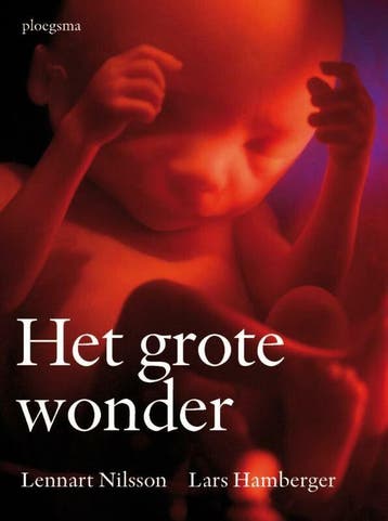 Het grote wonder (Redelijk), Boeken, Verzenden, Nieuw, Lars Hamberger