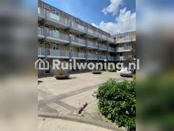 Nijmegen: Gezellige flat met 2 kamers