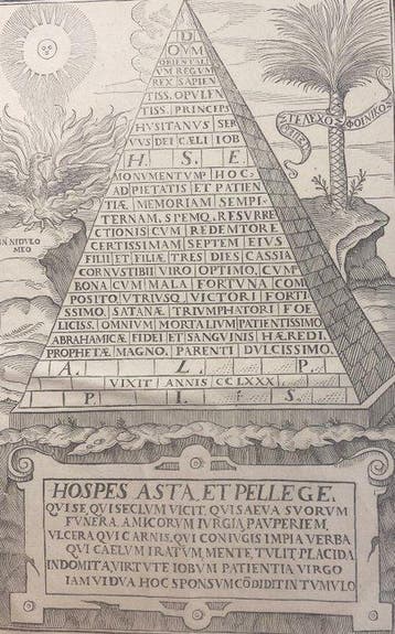 I. de Pineda - Commentariorum in Iob - 1604