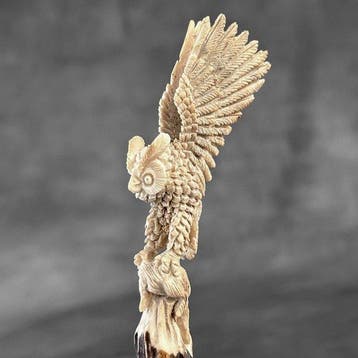 Snijwerk, NO RESERVE PRICE - Stunning Owl Carving from a, Antiek en Kunst