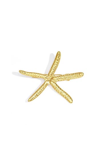 Broche haarspeld met zeester (Broches, Accessoires), Verzenden, Nieuw, Zilver, Overige materialen