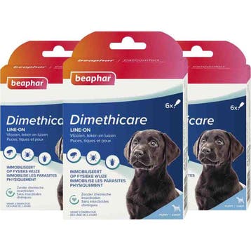 3x Beaphar DIMETHIcare Line-On Puppy 6 stuks (Hondenvoer), Dieren en Toebehoren, Verzenden, Hond