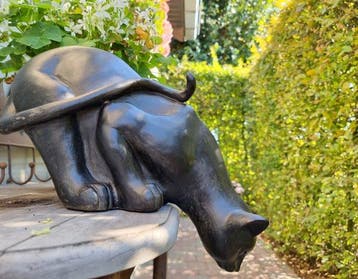Beeldje - Curious cat - Hars