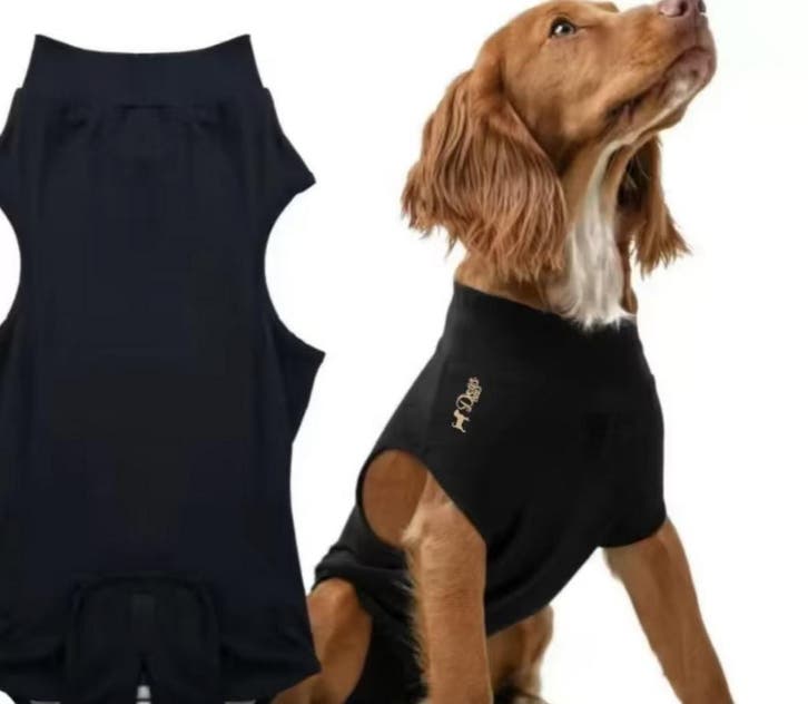 Honden Romper voor na de operatie Zwart (MedischLoopsheid), Dieren en Toebehoren, Hondenkleding, Overige hondenkleding, Nieuw